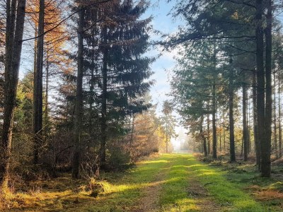 Holiday house 6 Personen Ferienhaus in Toftlund-By Traum - Outdoor photo 7