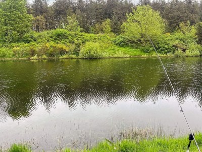 Holiday house 6 Personen Ferienhaus in Toftlund-By Traum - Outdoor photo 10