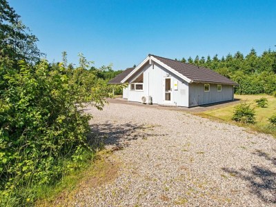 Holiday house 6 Personen Ferienhaus in Toftlund-By Traum - Outdoor photo 21