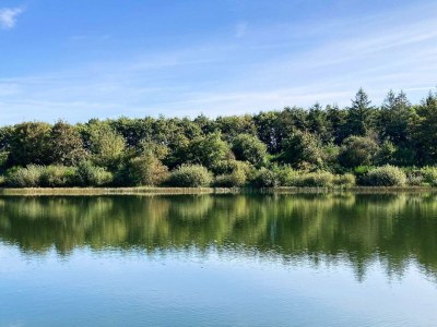 Holiday house 6 Personen Ferienhaus in Toftlund-By Traum - Outdoor photo 32