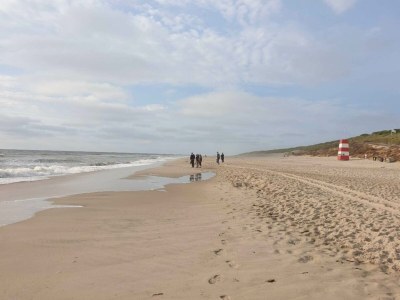 Holiday house 4 Personen Ferienhaus in Ringkøbing-By Traum - Outdoor photo 30