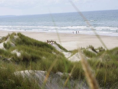 Holiday house 8 person holiday home in Blokhus - Outdoor photo 42