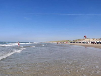 Holiday house 8 person holiday home in Blokhus - Outdoor photo 45