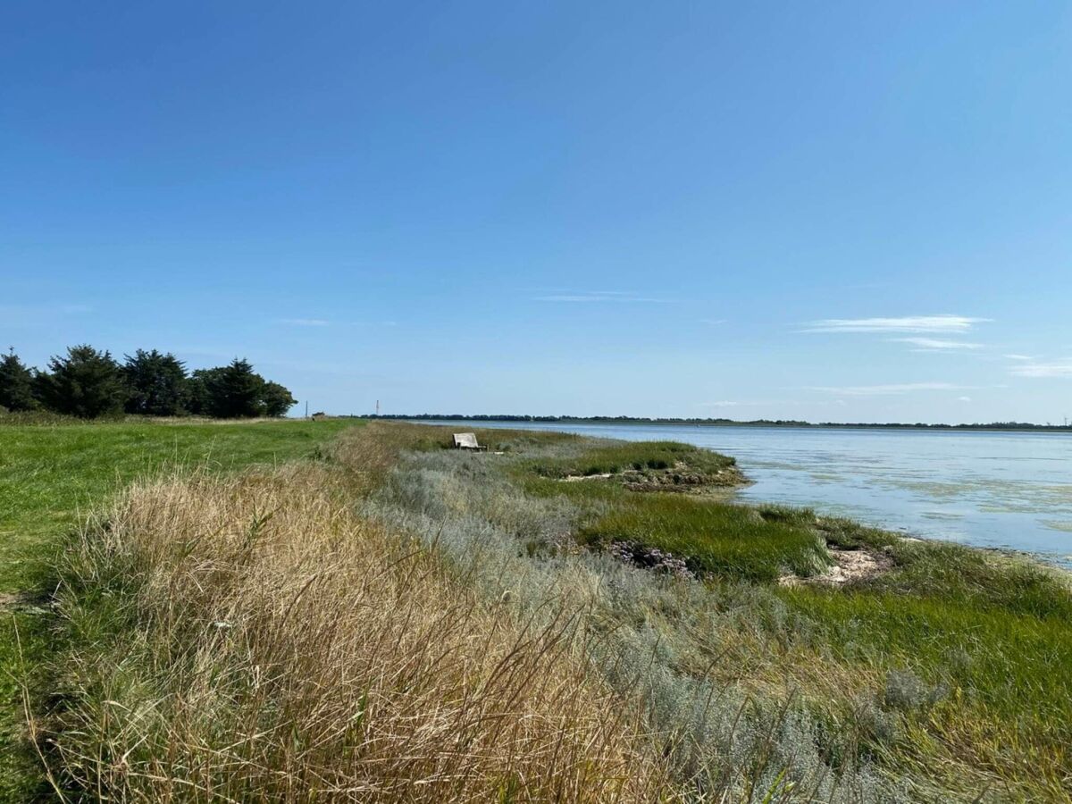 Holiday house 6 Personen Ferienhaus in Hadsund - Outdoor photo 4
