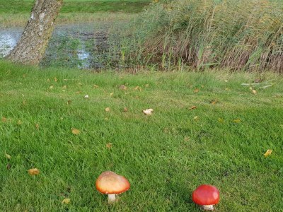 Holiday house 6 person holiday home in Ørsted-By Traum - Outdoor photo 10