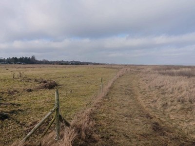 Holiday house 6 person holiday home in Ørsted-By Traum - Outdoor photo 14