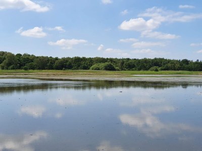 Holiday house 6 person holiday home in Ørsted-By Traum - Outdoor photo 30
