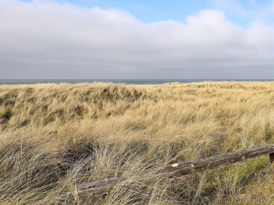 Holiday house 4 person holiday home in Fjerritslev - Outdoor photo 6