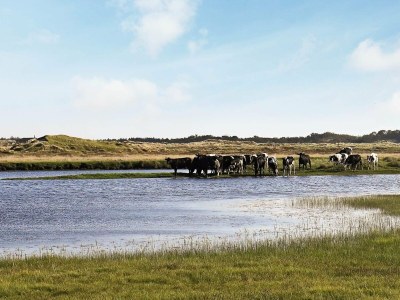 Holiday house 4 person holiday home in Fjerritslev - Outdoor photo 12