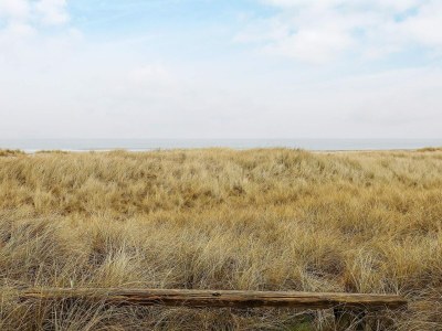 Holiday house 4 person holiday home in Fjerritslev - Outdoor photo 21