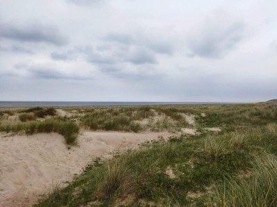 Holiday house 4 person holiday home in Fjerritslev - Outdoor photo 35