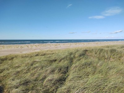 Holiday house 4 person holiday home in Fjerritslev - Outdoor photo 36