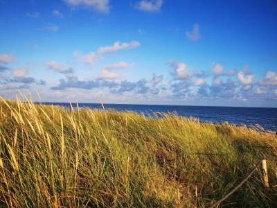 Holiday house Ruhiger Strand-Ruckzug -- By Traum Ferienwohnungen - Outdoor photo 19