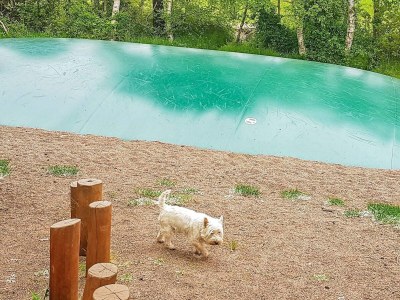 Holiday house 14 person holiday home in Væggerløse - Outdoor photo 11