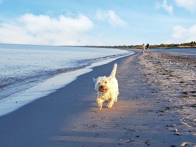Holiday house 14 person holiday home in Væggerløse - Outdoor photo 30