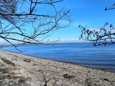 Holiday house Secluded Haven in Hvidbjerg - By Traum Ferienwohnungen - Outdoor photo 8