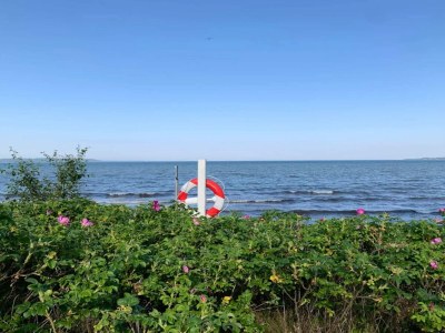 Holiday house Secluded Haven in Hvidbjerg - By Traum Ferienwohnungen - Outdoor photo 9