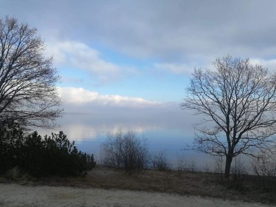 Holiday house Secluded Haven in Hvidbjerg - By Traum Ferienwohnungen - Outdoor photo 11