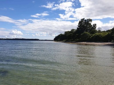 Holiday house Secluded Haven in Hvidbjerg - By Traum Ferienwohnungen - Outdoor photo 38