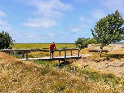 Holiday house 7 person holiday home in Lemvig-By Traum - Outdoor photo 4