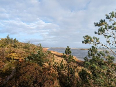 Apartment 6 Personen Ferienhaus in Hadsund - Outdoor photo 8