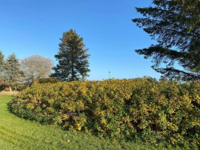 Apartment 6 Personen Ferienhaus in Hadsund - Outdoor photo 39