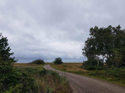 Holiday house 6 person holiday home in Hadsund - Outdoor photo 26