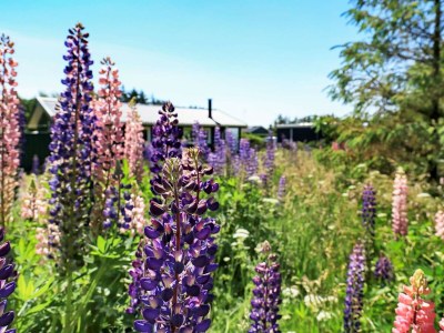 Holiday house 5 person holiday home in Hjørring - Outdoor photo 13