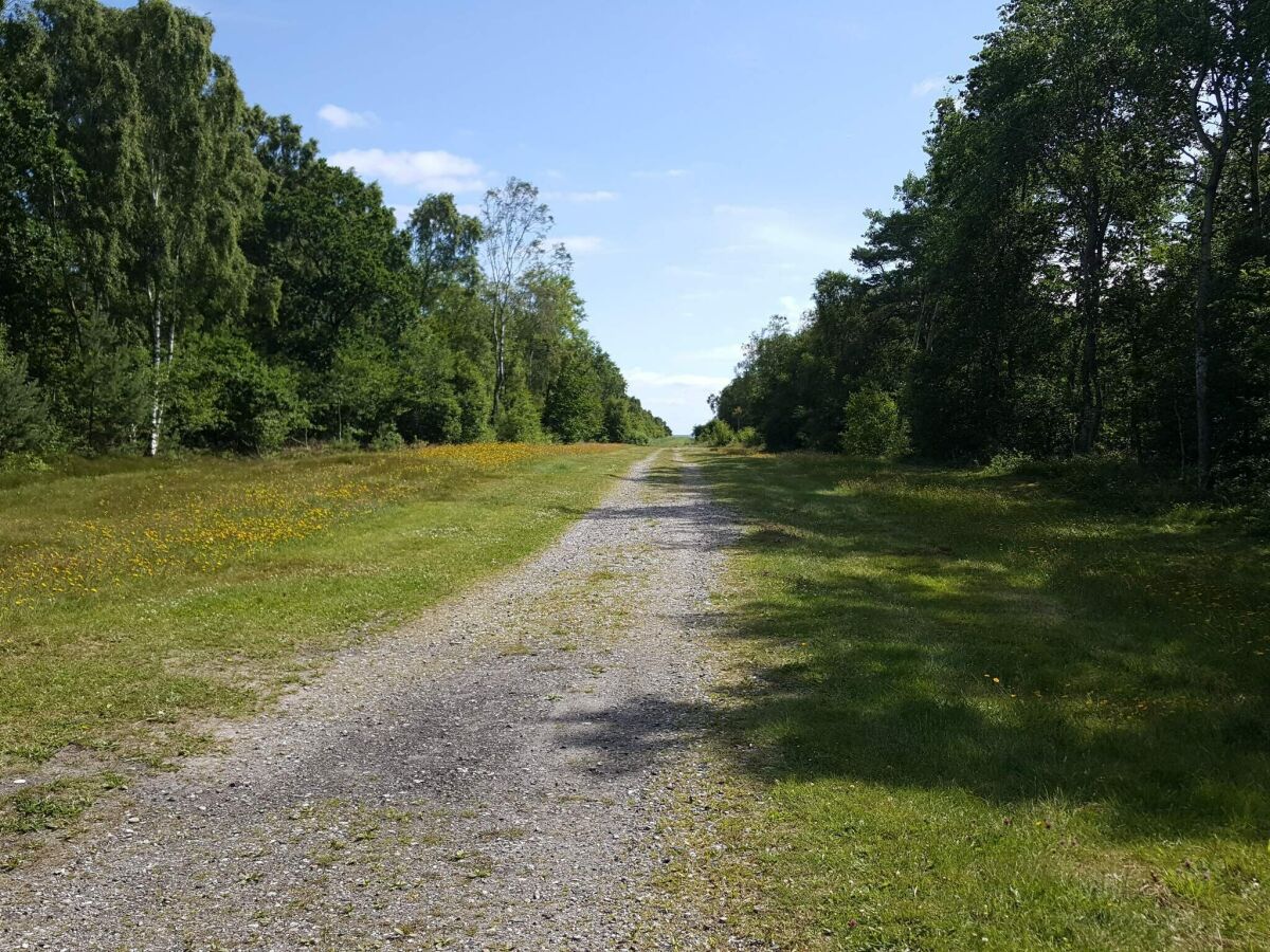 Holiday house Meeresoase mit Garten-By Traum - Outdoor photo 5