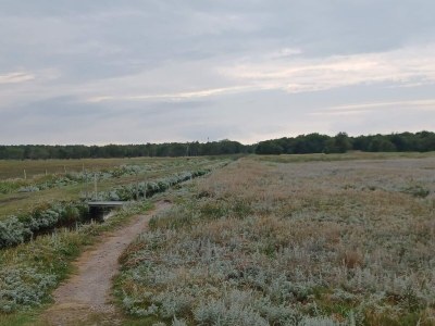 Holiday house Meeresoase mit Garten-By Traum - Outdoor photo 21