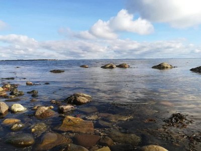 Holiday house 8 person holiday home in Haderslev-By Traum - Outdoor photo 10