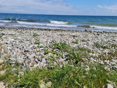 Holiday house 8 person holiday home in Haderslev-By Traum - Outdoor photo 11