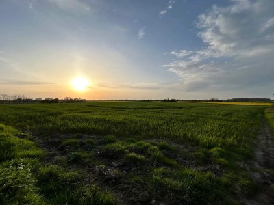 Holiday house 8 person holiday home in Haderslev-By Traum - Outdoor photo 12