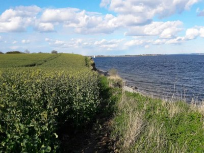 Holiday house 8 person holiday home in Haderslev-By Traum - Outdoor photo 16