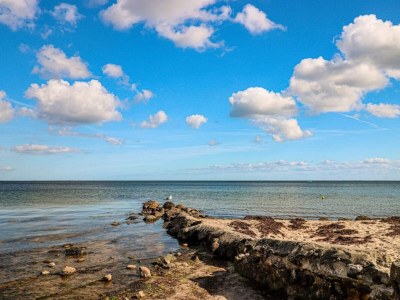 Holiday house 8 person holiday home in Haderslev-By Traum - Outdoor photo 19