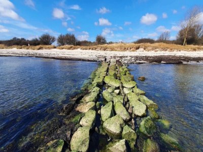 Holiday house 12 Personen Ferienhaus in Væggerløse - Outdoor photo 12