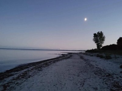 Holiday house 12 Personen Ferienhaus in Væggerløse - Outdoor photo 15