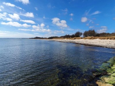 Holiday house 12 Personen Ferienhaus in Væggerløse - Outdoor photo 21