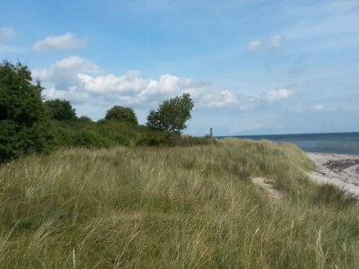 Holiday house 12 Personen Ferienhaus in Væggerløse - Outdoor photo 27