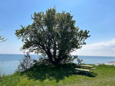 Holiday house 12 Personen Ferienhaus in Væggerløse - Outdoor photo 35