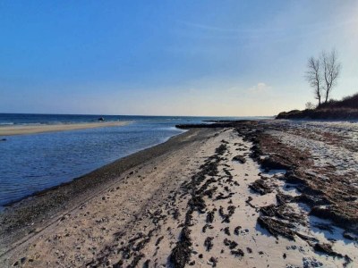 Holiday house 12 Personen Ferienhaus in Væggerløse - Outdoor photo 36