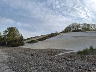 Holiday house 8 person holiday home in Børkop-By Traum - Outdoor photo 13