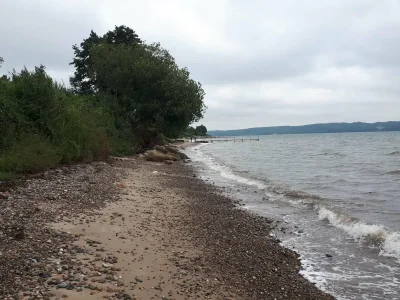 Holiday house 8 person holiday home in Børkop-By Traum - Outdoor photo 14