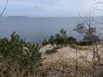 Holiday house 8 person holiday home in Børkop-By Traum - Outdoor photo 25