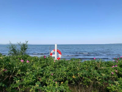 Holiday house 8 person holiday home in Børkop-By Traum - Outdoor photo 39