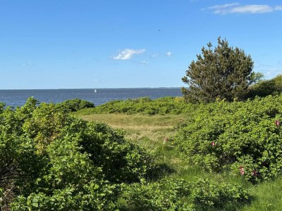 Holiday house 6 person holiday home in Tarm - Outdoor photo 24