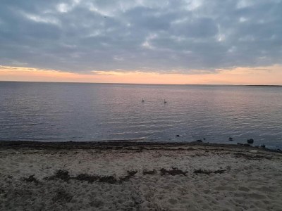 Holiday house 6 person holiday home in Tarm - Outdoor photo 26