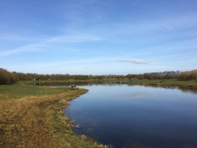 Holiday house 6 person holiday home in Tarm - Outdoor photo 40