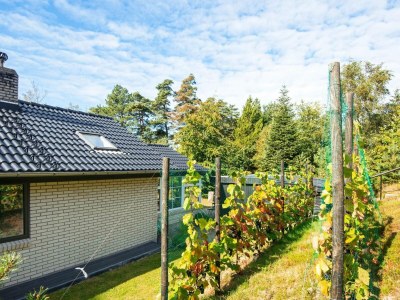 Holiday house Ruhiger Strand-Ruckzugsort-By Traum - Outdoor photo 28