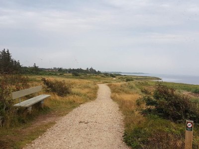 Holiday house Ruhiger Strand-Ruckzugsort-By Traum - Outdoor photo 32